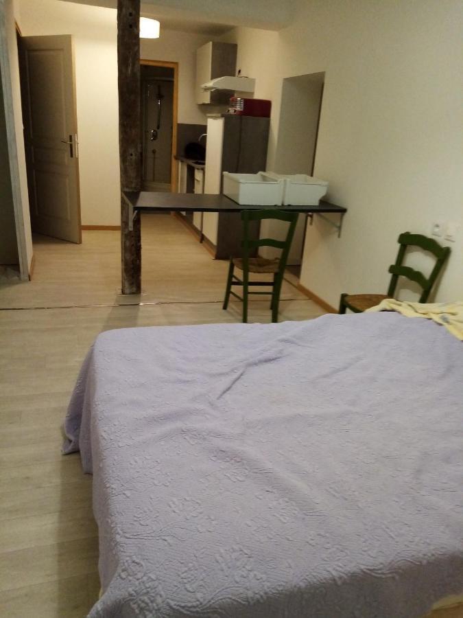 Studio Saint Pierre فيك-فيزينساك المظهر الخارجي الصورة